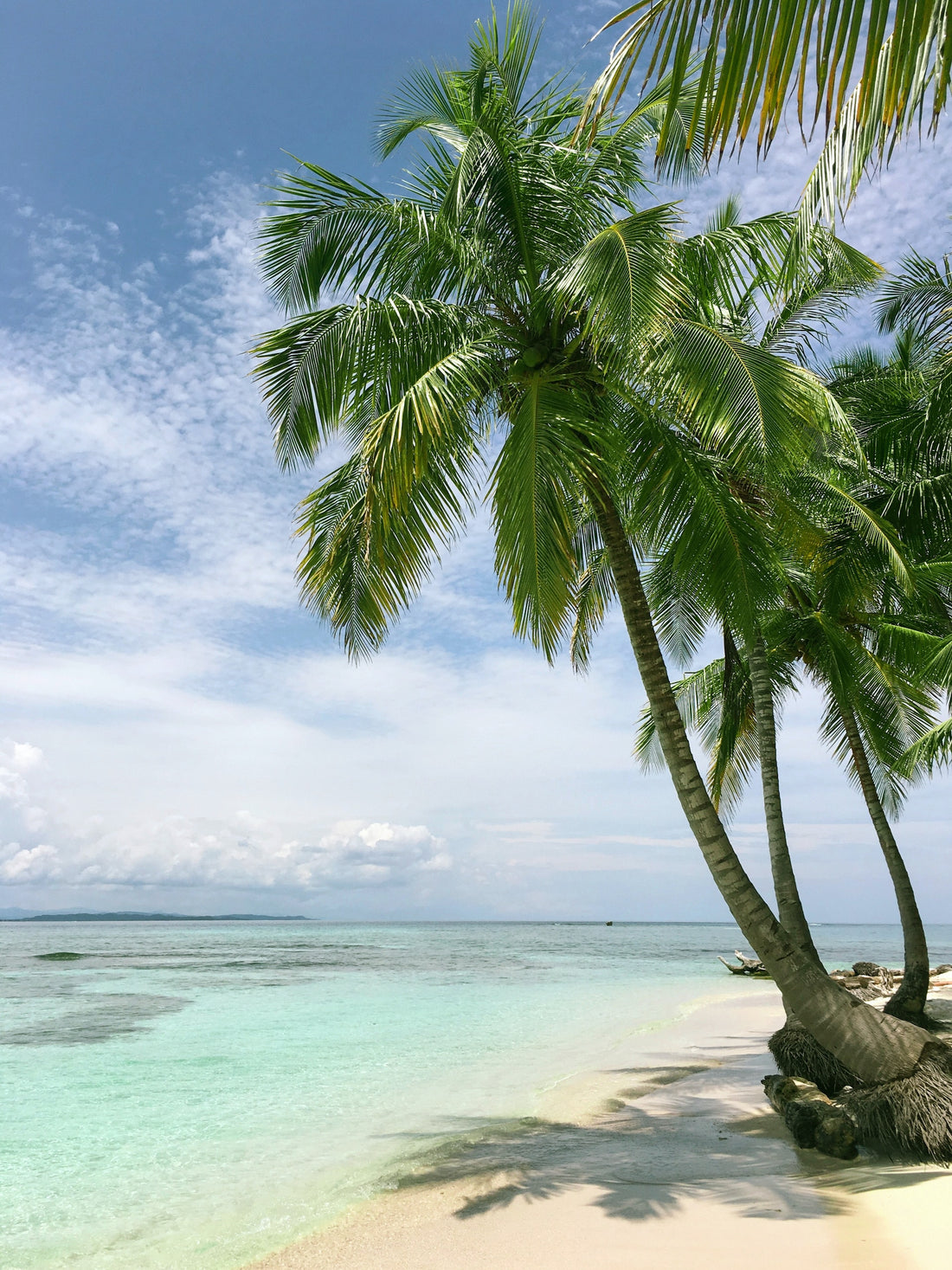 Are You Ready to Wear AV Fashion’s Summer Vacation Outfits? - AV Fashion’s