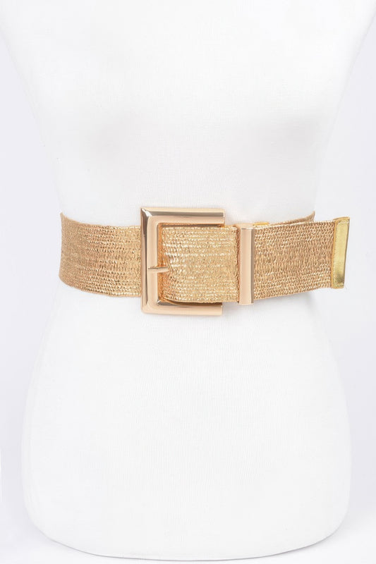 Clear Pvc Metal Buckle Belt - AV Fashion’s