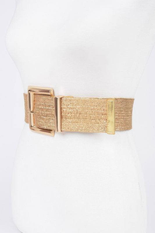 Clear Pvc Metal Buckle Belt - AV Fashion’s